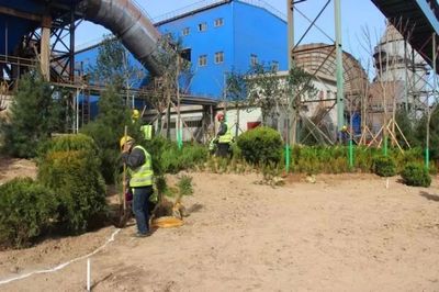 鋼城視角丨【鐵腕治霾】鋼鐵美麗花創(chuàng)建--綠色龍鋼雛形初綻 || 高標(biāo)準(zhǔn)做好屋頂綠化美化工作 打造俯視景觀&ldquo;綠色韓城&rdquo;_財(cái)經(jīng)_網(wǎng)