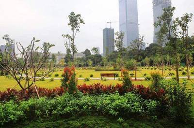 園林綠化工程中存在的部分問題及建議